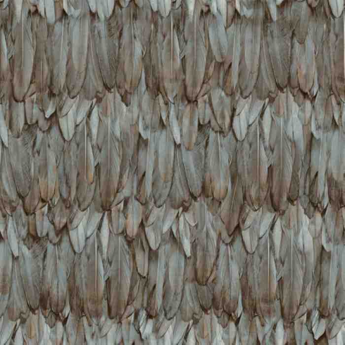 Modern Bird Feather Patterned Wallpaper - Tropicano 9913-5 (16,5m2)