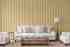 Classic delicate striped ornament wallpaper - Kalinka 5808-2 (10,6m2)